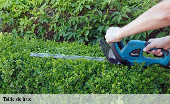 Taille de haie  58000