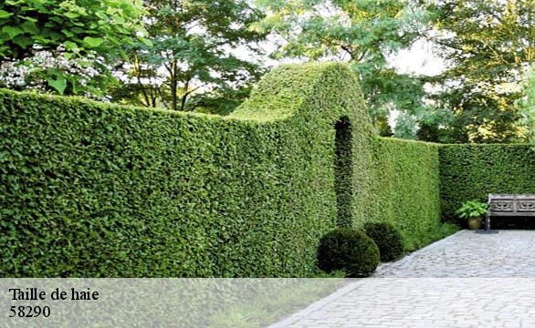Taille de haie  58290
