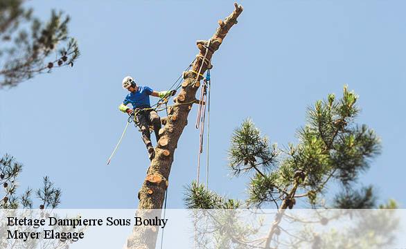 Etetage  dampierre-sous-bouhy-58310 Mayer Elagage