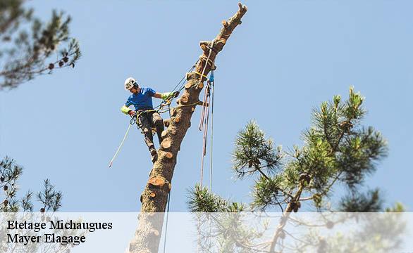 Etetage michaugues-58420 Mayer Elagage