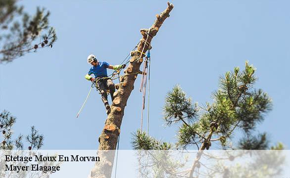 Etetage  moux-en-morvan-58230 Mayer Elagage