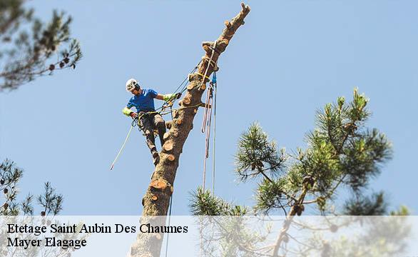 Etetage  saint-aubin-des-chaumes-58190 Mayer Elagage
