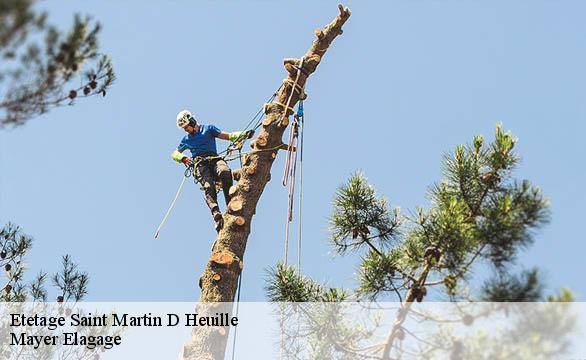 Etetage  saint-martin-d-heuille-58130 Mayer Elagage