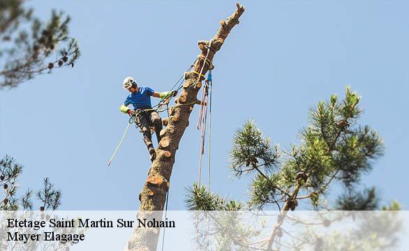 Etetage  saint-martin-sur-nohain-58150 Mayer Elagage