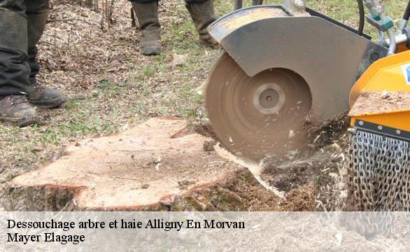 Dessouchage arbre et haie  alligny-en-morvan-58230 Mayer Elagage