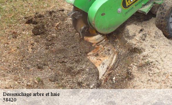 Dessouchage arbre et haie  58420