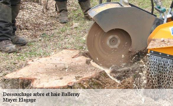 Dessouchage arbre et haie  balleray-58130 Mayer Elagage