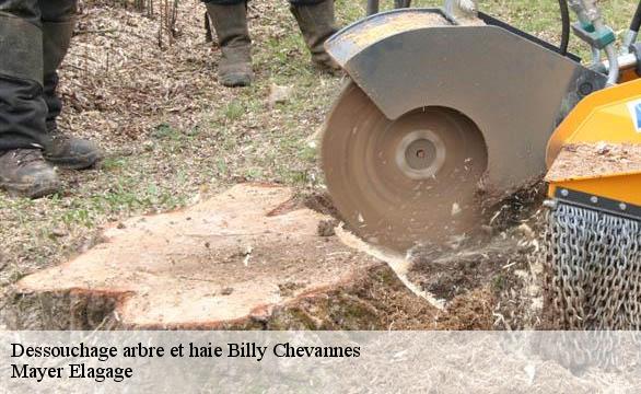 Dessouchage arbre et haie  billy-chevannes-58270 Mayer Elagage