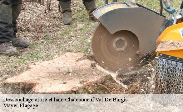 Dessouchage arbre et haie  chateauneuf-val-de-bargis-58350 Mayer Elagage