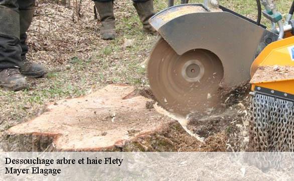 Dessouchage arbre et haie  flety-58170 Mayer Elagage