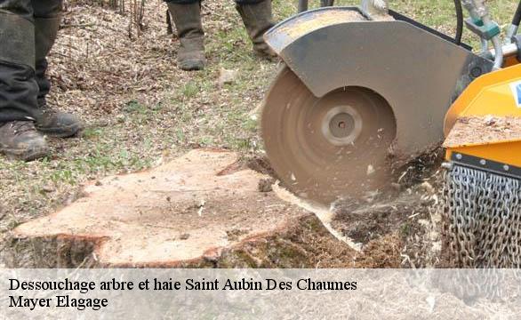 Dessouchage arbre et haie  saint-aubin-des-chaumes-58190 Mayer Elagage