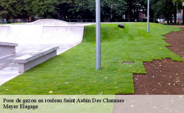 Pose de gazon en rouleau  saint-aubin-des-chaumes-58190 Mayer Elagage