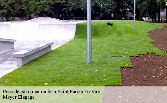Pose de gazon en rouleau  saint-parize-en-viry-58300 Mayer Elagage