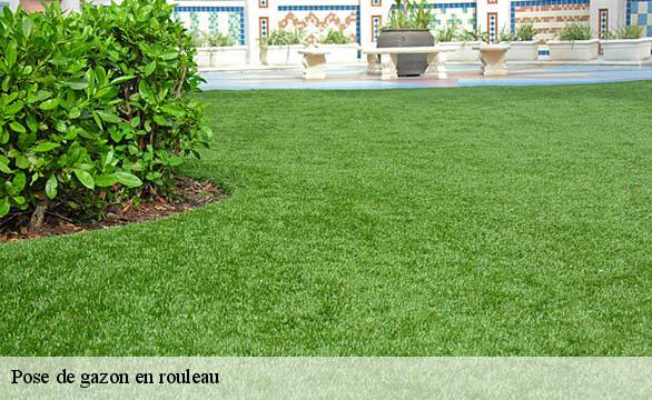 Pose de gazon en rouleau  58460