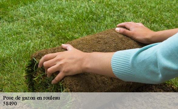 Pose de gazon en rouleau  58490