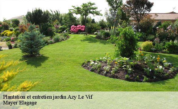 Plantation et entretien jardin  azy-le-vif-58240 Mayer Elagage