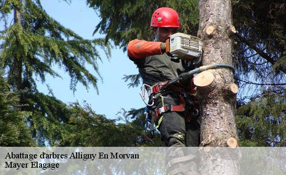 Abattage d'arbres  alligny-en-morvan-58230 Mayer Elagage