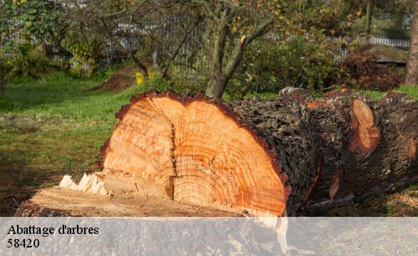 Abattage d'arbres  58420